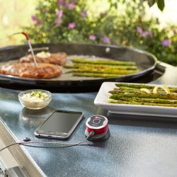 Θερμόμετρο iGRILL mini Weber
