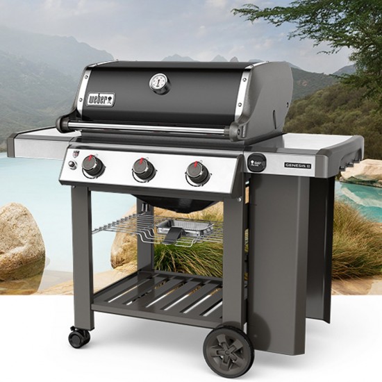 Weber Genesis II E-310 gbs & 150€ Δώρα Αξεσουάρ