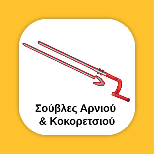 Σούβλες αρνιού και παρελκόμενα