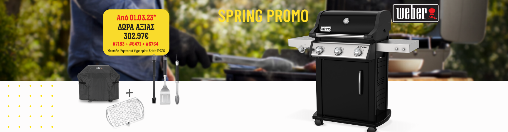 SPRING PROMO WEBER GENESIS