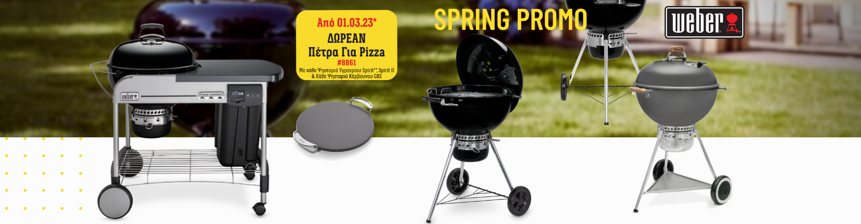 SPRING PROMO WEBER CHORCOAL