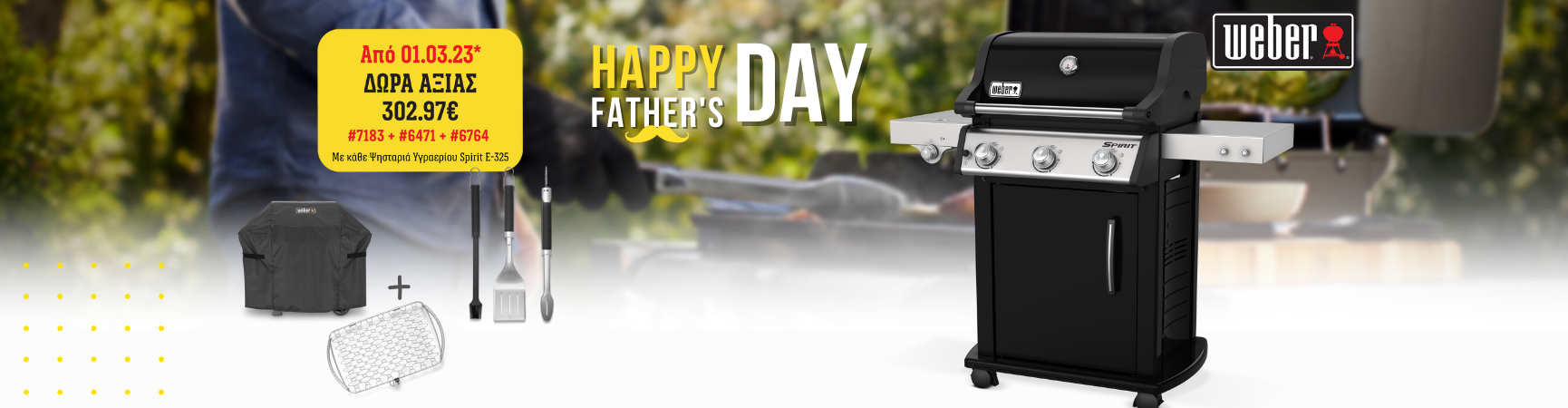 SPRING PROMO WEBER GENESIS