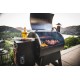 Traeger Pro  22 Pellet Grill