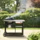 Weber Performer Premium 57 cm Black new - ψησταριά κάρβουνου